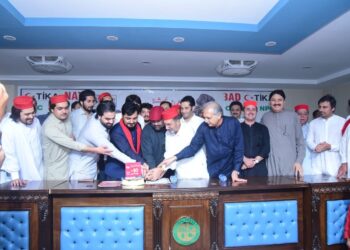 ملک شخصیات سے نہیں آئین سے چلتے ہیں، سینیٹر ایمل ولی خان